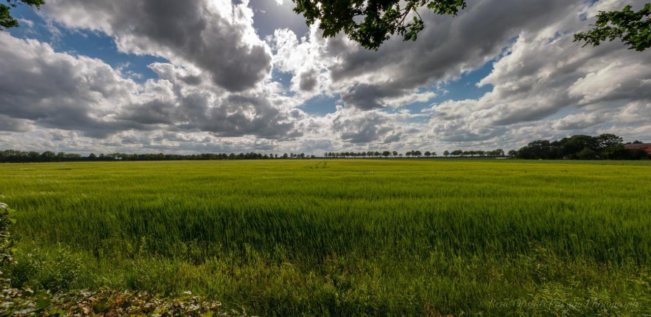 Appartementen Buitenwedde Westerwolde المظهر الخارجي الصورة